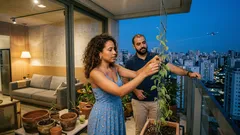 Cortina vegetal na janela: como reduzir o calor em casa com trepadeiras