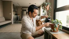 Como cuidar da jiboia-prateada: luz, rega e dicas para folhas bem prateadas