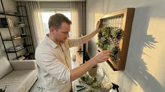 Suculentas na parede: o truque de drenagem e rega que evita mofo e faz o jardim vertical durar mais