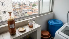 3 armadilhas caseiras para mosquitos que ajudam de verdade (e o que fazer contra água parada)