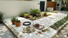 Jardim na frente de casa: como escolher plantas certas para sol, sombra e pouca manutenção