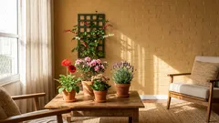 5 plantas fáceis para deixar a casa mais bonita e o ar mais agradável