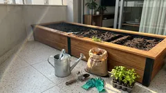 Canteiro elevado: o que muda na sua horta e por que ele facilita tanto o cuidado com o solo