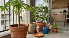 Planta macho e fêmea: como saber e o que fazer quando a frutífera não dá frutos