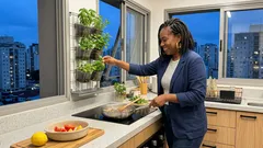 7 modelos de horta vertical na cozinha para montar com o que você já tem em casa