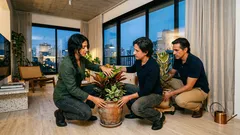 Folhas coloridas que mudam de tom: por que a cor aparece (ou some) e 10 plantas para cultivar