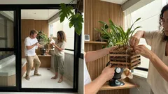 Orquídea cara-de-macaco: como cuidar da Dracula simia e fazer florir em casa