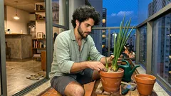 Lança-de-são-jorge: guia de cuidados simples para a planta ficar bonita o ano todo