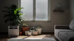 Cuidados com plantas no inverno: rega certa, umidade do ar e proteção contra geada