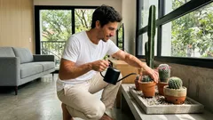 Decoração com cactos: 30 ideias lindas e fáceis para copiar em casa