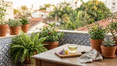 Amor-perfeito: como cultivar em vaso e ter flores lindas no frio