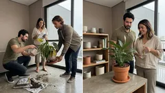 Plantas de interior morrendo? 7 erros comuns e como corrigir sem drama