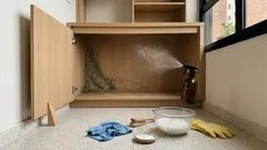 Como tirar mofo da madeira sem manchar e sem estragar o acabamento