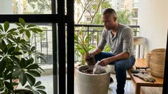 Jardim tropical em casa: 7 plantas exuberantes e fáceis de combinar