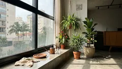 7 plantas para ambientes abafados que ajudam a deixar a casa mais fresca