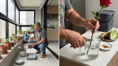 5 mitos e verdades da jardinagem que estão matando suas plantas sem você perceber