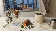 Como cultivar batata-doce ornamental e usar as ramas na decoração