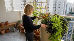 Hortaliças ornamentais: 7 opções lindas para decorar a casa e ainda comer