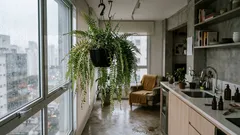 Samambaia chorona: 7 cuidados para ficar cheia e verdinha o ano todo