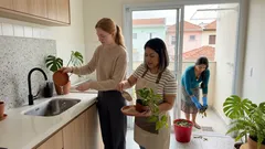 Varredura de 10 minutos contra o Aedes: 6 pontos da casa onde a água parada se esconde