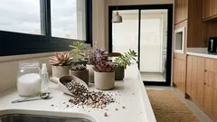 Como deixar suculentas mais coloridas sem estressar a planta