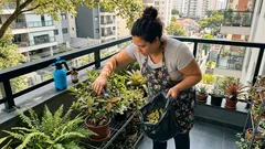 Ferrugem nas plantas: como identificar cedo e parar o fungo antes que se espalhe