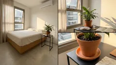 Plantas no quarto fazem mal à noite? Entenda o mito do oxigênio e o que realmente importa