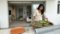 Plantas aquáticas para vaso, lago ou aquário: os tipos que deixam a água mais equilibrada (e quais evitar)