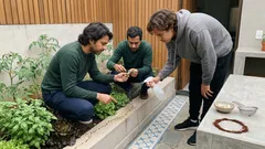 Como espantar formigas da horta com 4 estratégias naturais e sem veneno