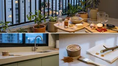 Um inseticida caseiro e 2 pastas cicatrizantes que salvam o jardim (o detalhe na dose que faz diferença)