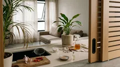 Tem pets e plantas em casa? Misturas caseiras para espantar mosquitinhos (sem judiar das folhas)