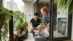 Substrato para plantas: como escolher a mistura certa para não perder mais mudas