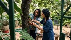 Como cultivar orquídeas no jardim externo sem medo de errar