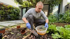 Caracóis e caramujos acabando com as folhas? Um plano de 7 ações para retomar o jardim (com segurança)