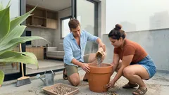 Suculentas gigantes: 5 espécies fáceis para dar impacto no jardim e em vasos