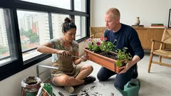 Flores na janela: 9 ideias fáceis para decorar com segurança em casa ou no apê