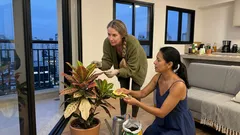 Cróton “pintado à mão”: o ajuste de luz e temperatura que mantém as cores vivas por mais tempo